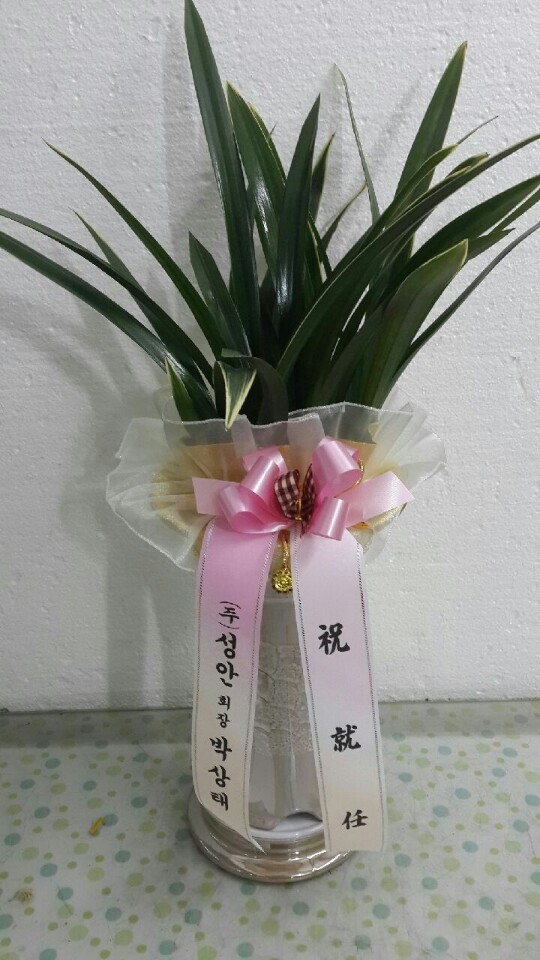 ڻ* 糭 ۰ Դϴ.