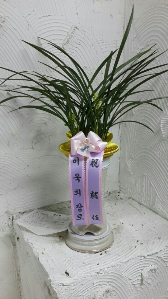 ̿* 糭 ۰ Դϴ