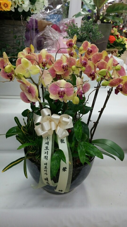 赿* ֹԴϴ.