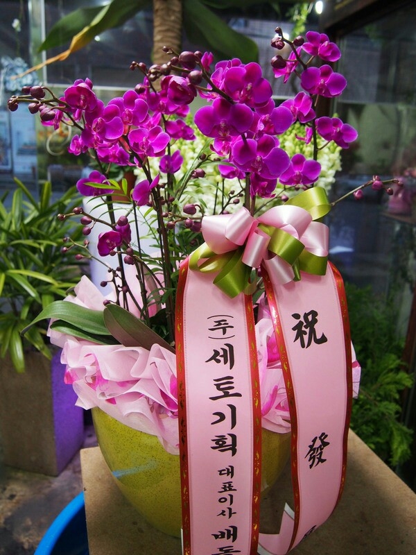 赿* ֹԴϴ.