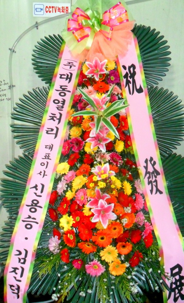 뵿** ֹ Դϴ.